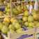 pere - eurofrut - ferrara - fiera - agricoltura