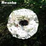 bonobo - days to come - radio strike - ferrara - accordi