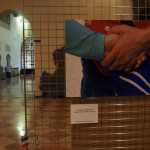 foto-patchworks-donne-centro-donna-giustizia-ferrara-municipio