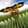 innovazione-agricoltura