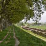 myferrara-instagram-comune-ferrara-fotografia-igers