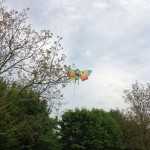 vulandra-aquiloni-parco-urbano-myferrara-instagram