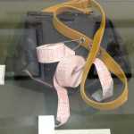 mosca-mostra-trasporti