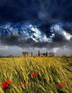grano-tempesta-parasacco-ferrara-fotoclub-maurizio-tieghi