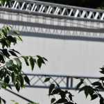 arena-parco-pareschi