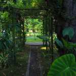 orto-botanico-universitario-ferrara