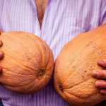 zucca-turismo-ferrara