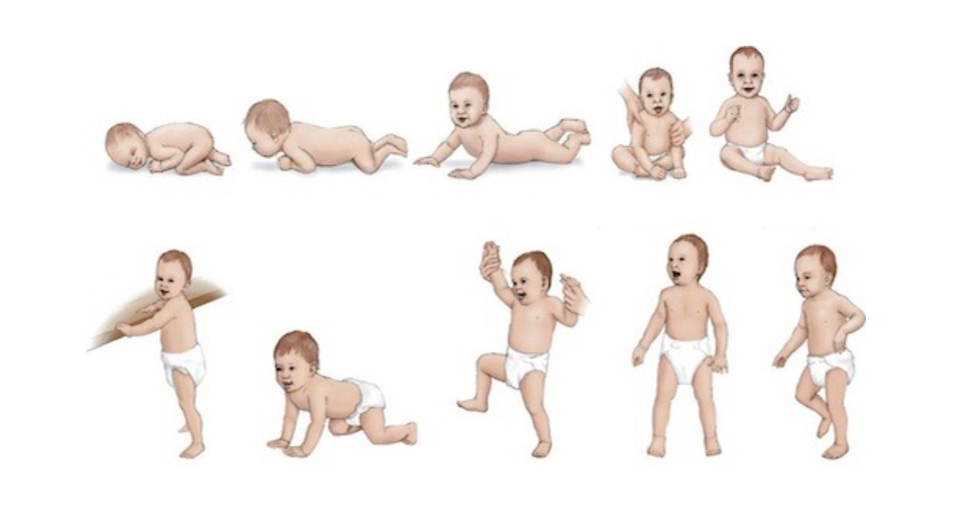 Во сколько сидит мальчик самостоятельно. Схема развития ребенка. Этапы развития грудного ребенка. Стадии развития ребенка до года. Когда дети начинают ползать.