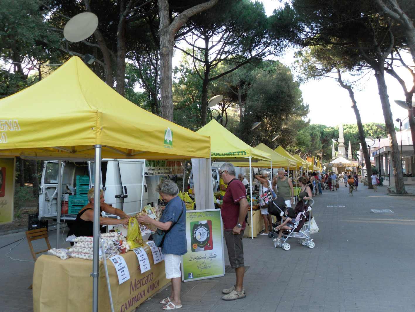 Copia di GAZEBO MERCATO LIDO ESTENSI l