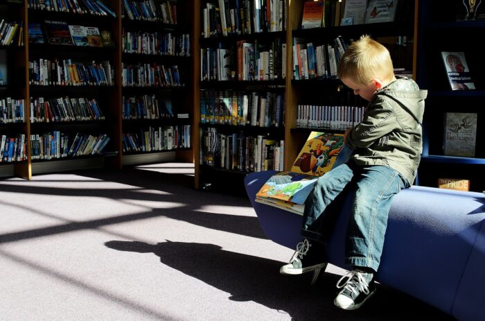 biblioteche pubbliche lettura