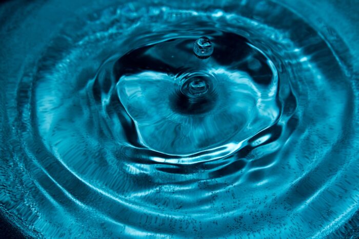 acqua polla bolla