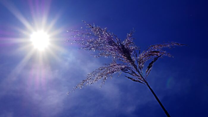 calore caldo sole siccità