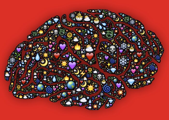 mente cervello intelligenza