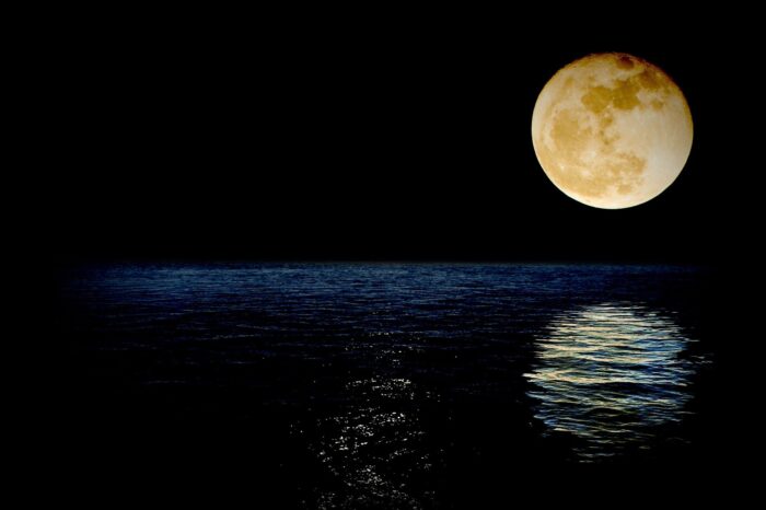 luna color miele