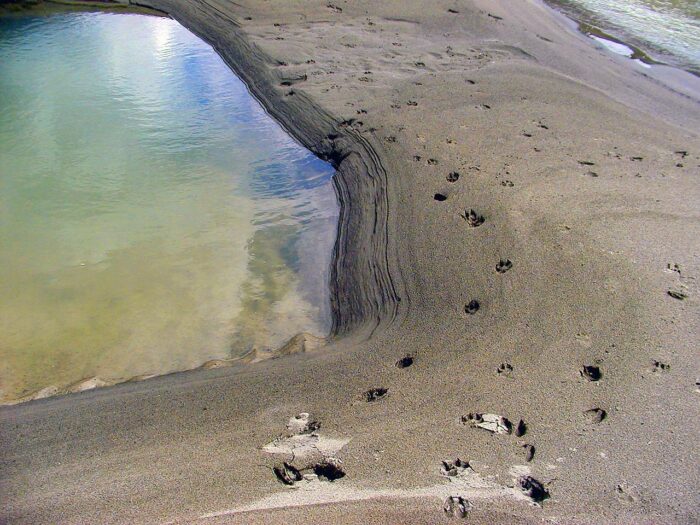 pozzo deserto orme