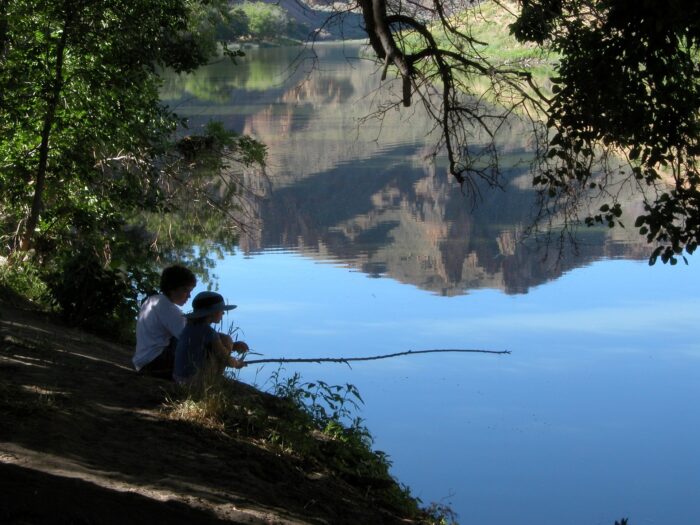 fiume bambini pesca alberi