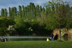 Vasco Rossi, il premio per la tutela dell'ambiente e i concerti in programma al Parco Urbano