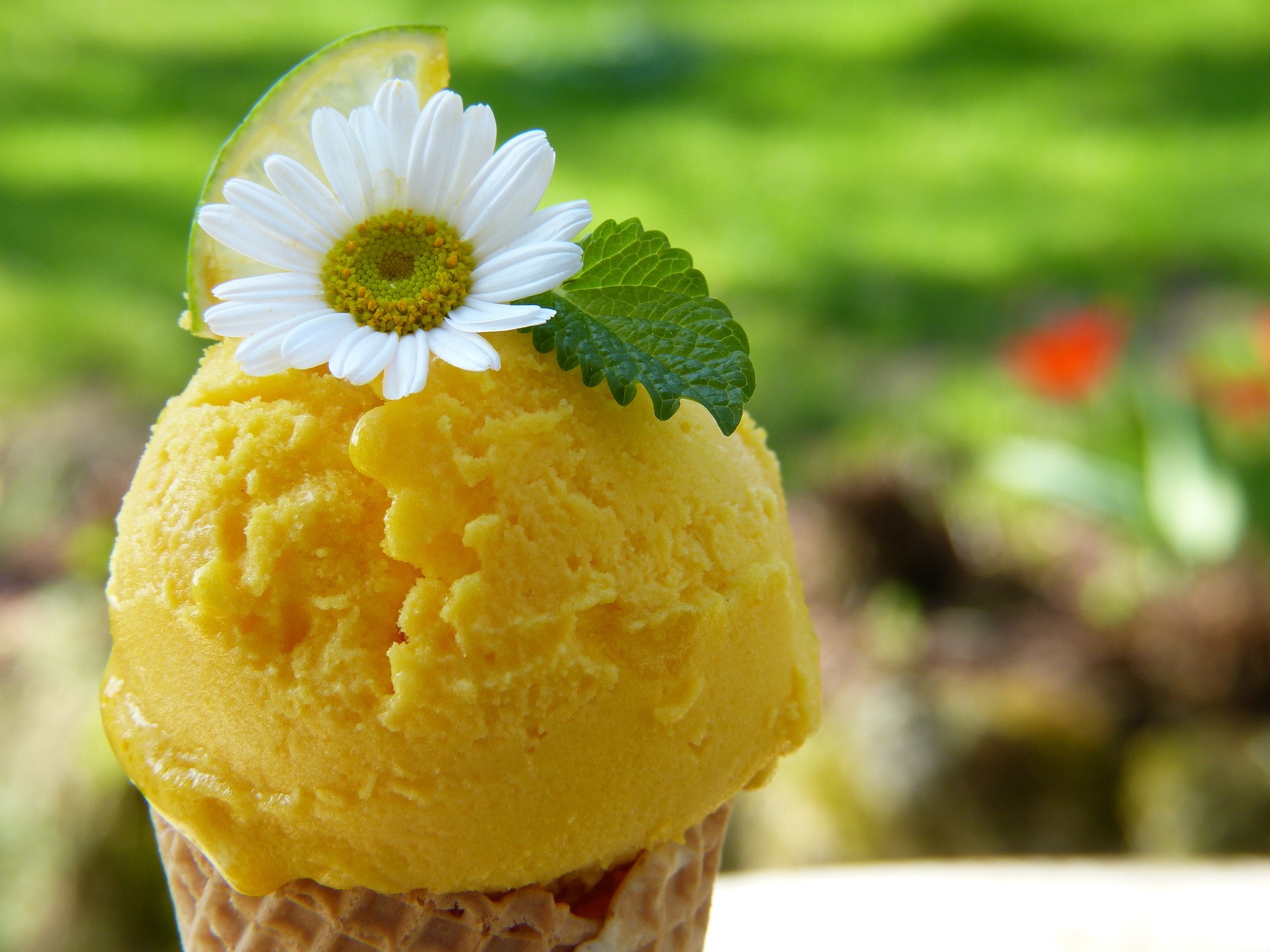 le storie di costanza. l'anima e il gelato