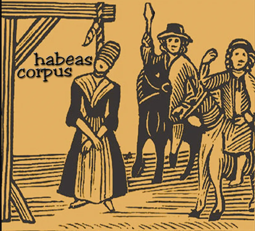 le voci da dentro habeas corpus