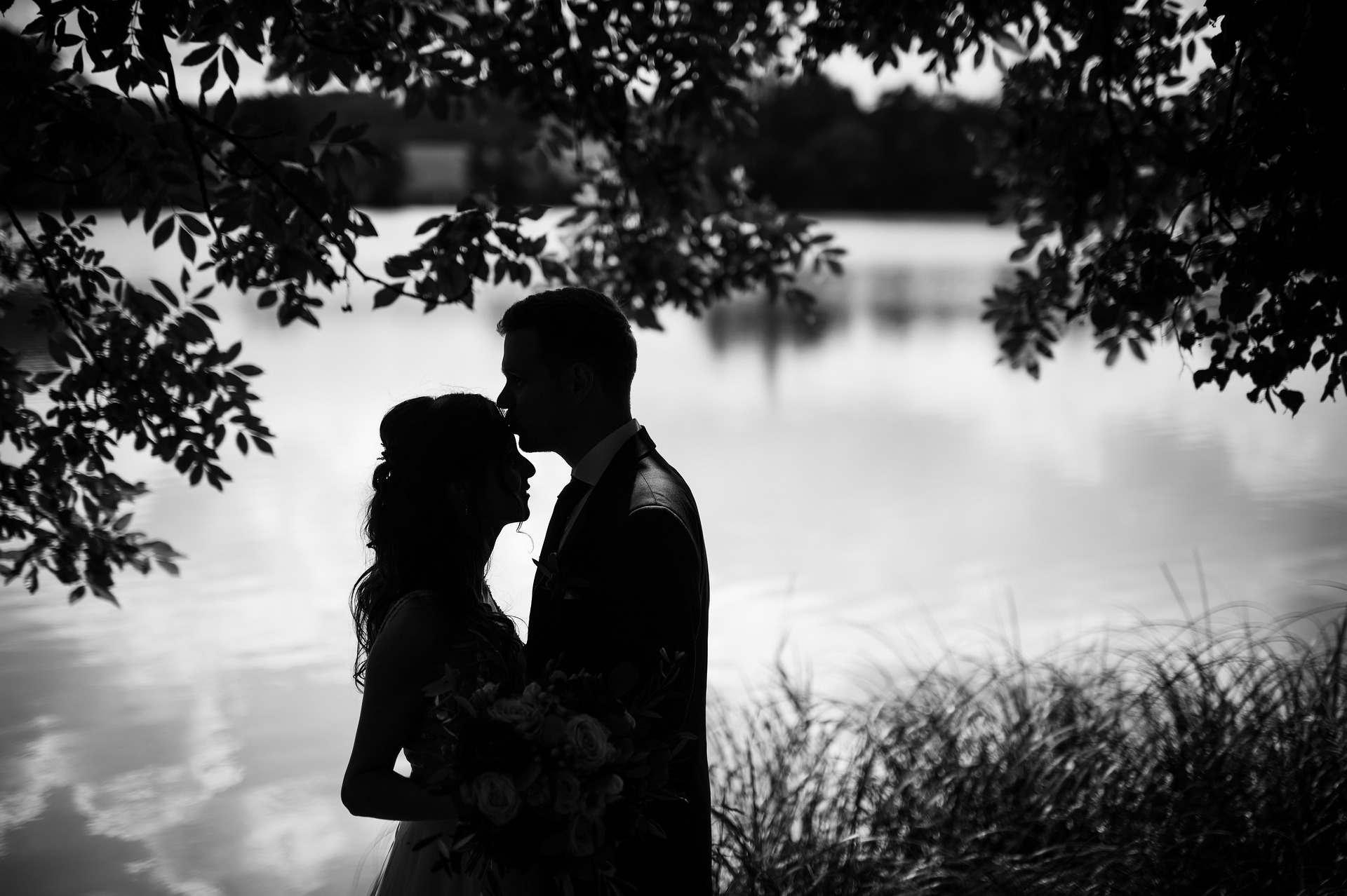 per certi versi il bacio e le cicale