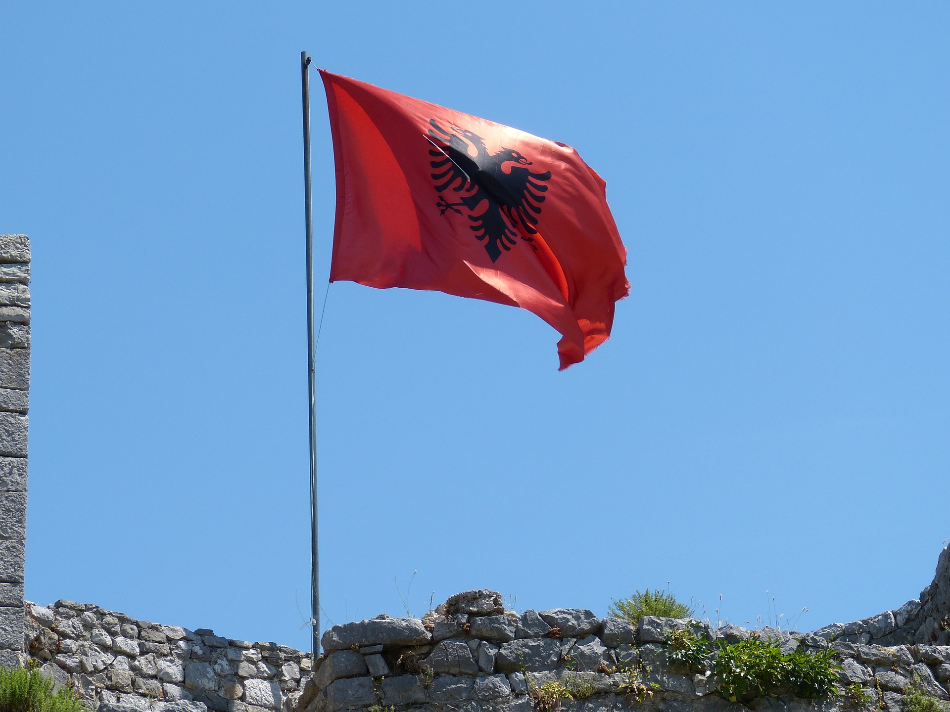 vite di carta la terra sbagliata dello scrittore albanese gazmend kapllani