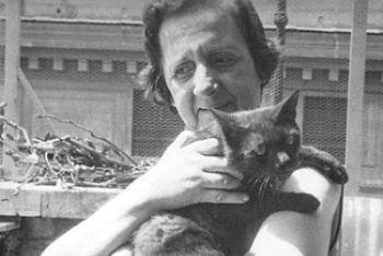 l'obbligo della pce: la lezione di maria zambrano e simone weil