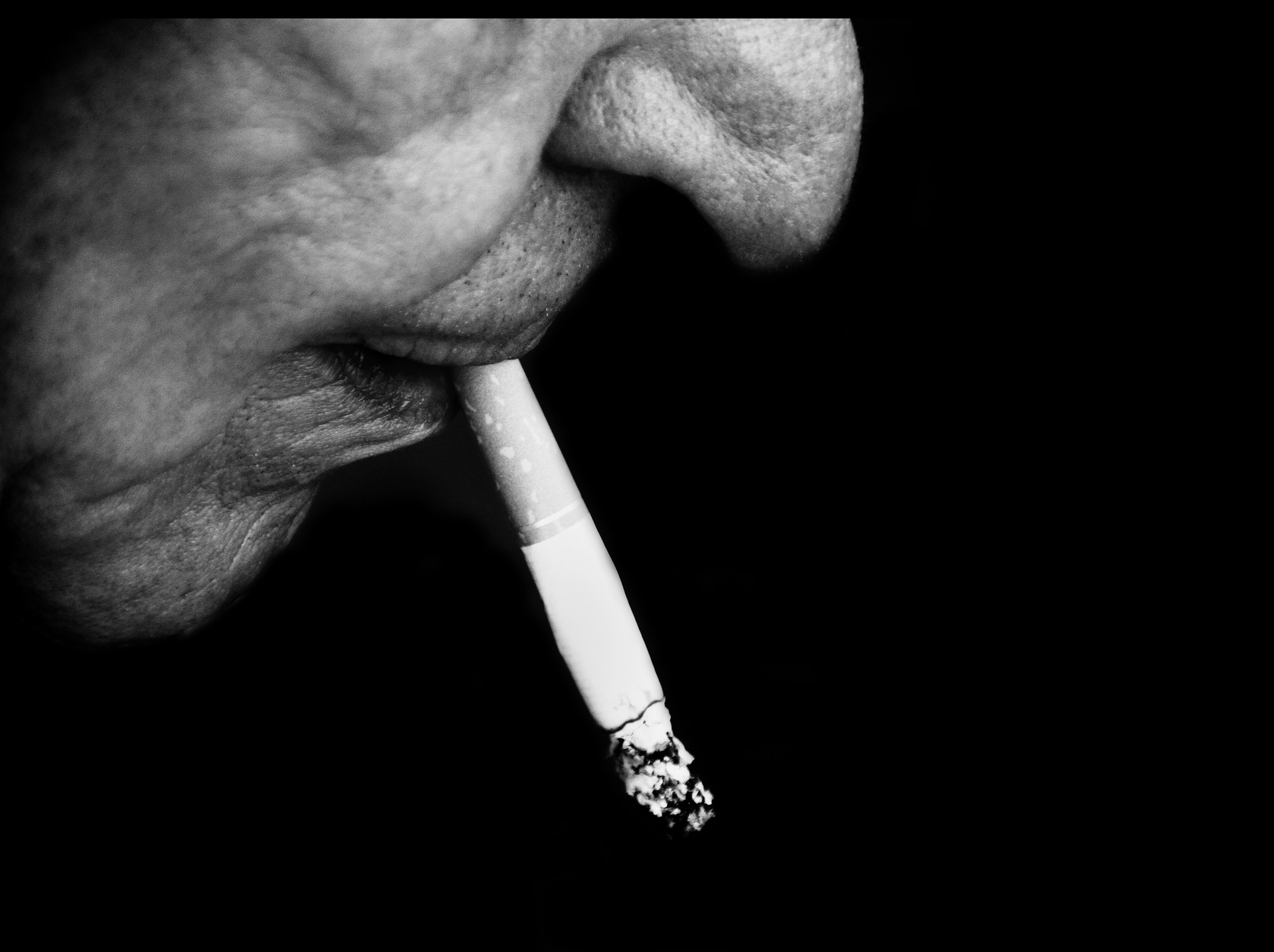 l'ironico sorriso dell'avvocato un racconto