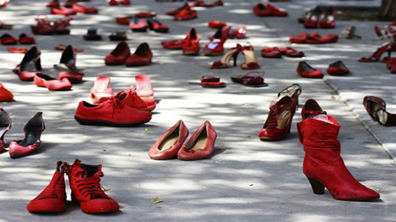 Dei 106 femminicidi di cui si conoscono gli autori, 61 donne sono uccise nell’ambito della coppia, 43 da altro parente, 1 da un conoscente per motivi passionali, 1 da sconosciuto. La realtà ci dice che le donne devono temere non tanto gli sconosciuti ma chi conoscono bene nell’ambito della coppia o della cerchia famigliare (fonte Istat, report del 23 novembre 2023).