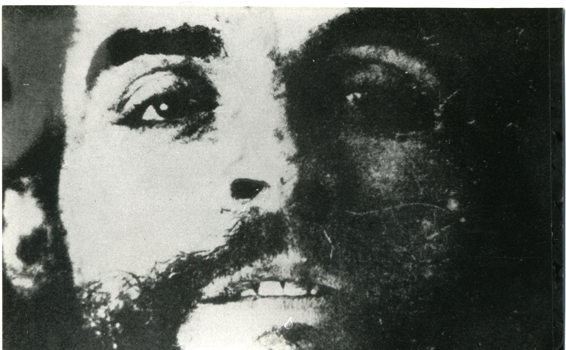La morte dell'umanità