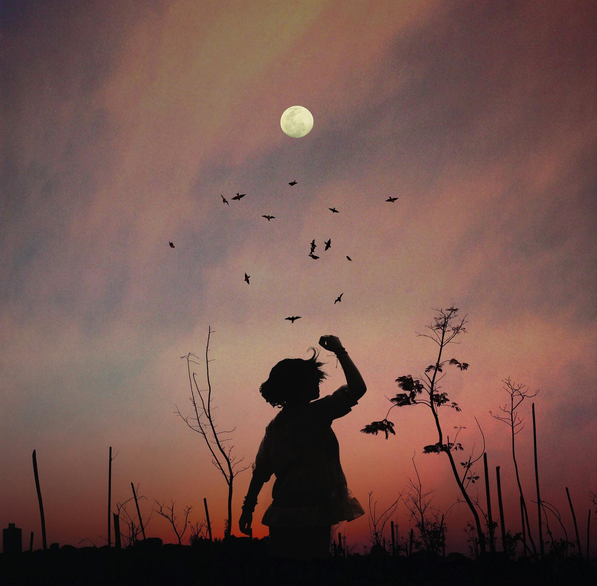 L’ho chiesto alla luna