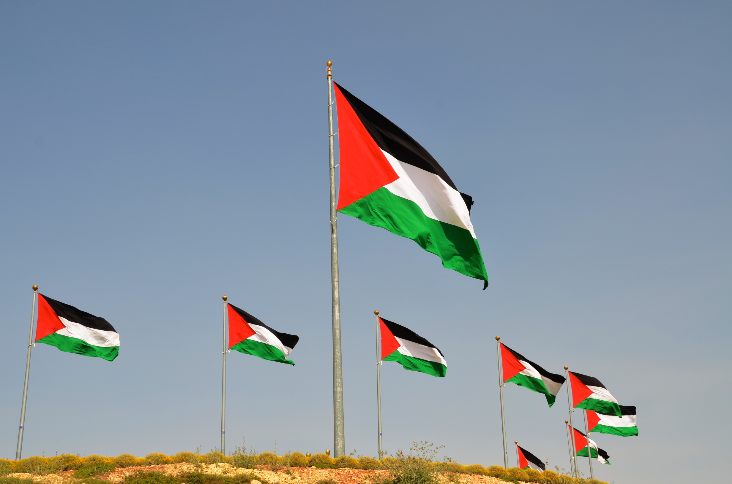 Gaza e l'agonia del Novecento 