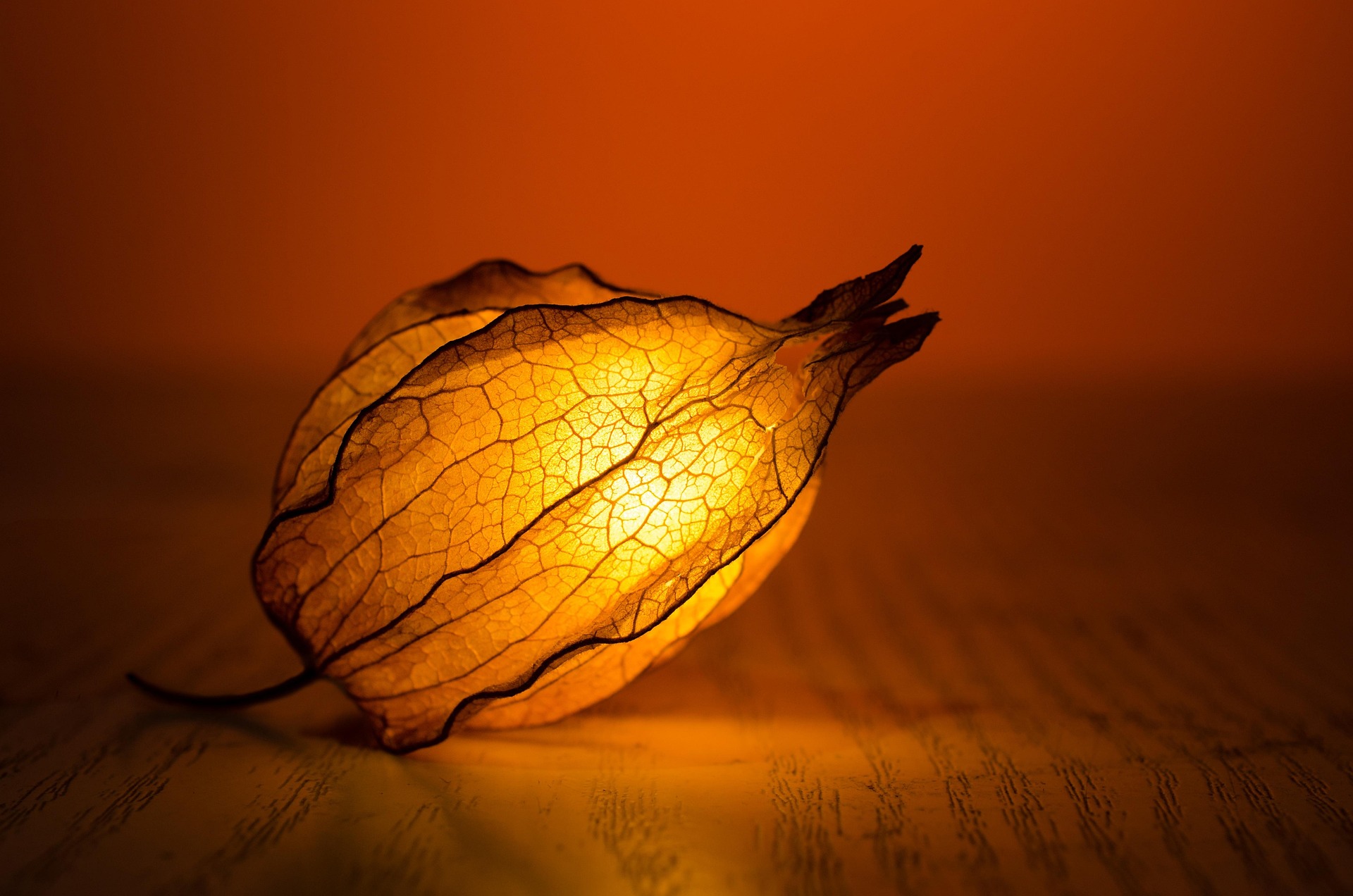 Presto di mattina luce gentile