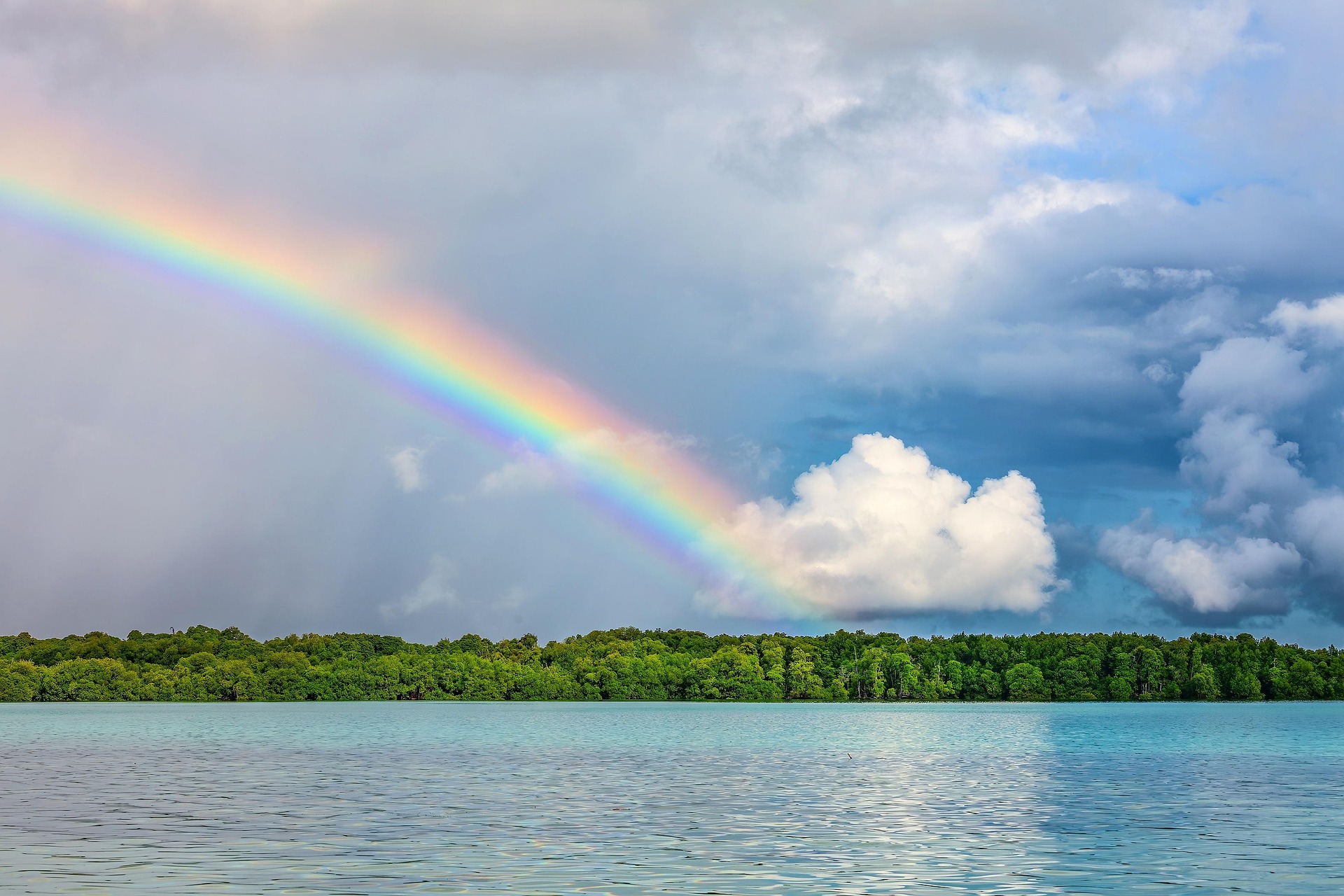 La natura geniale exaptation e plasticità in un mondo che cambia