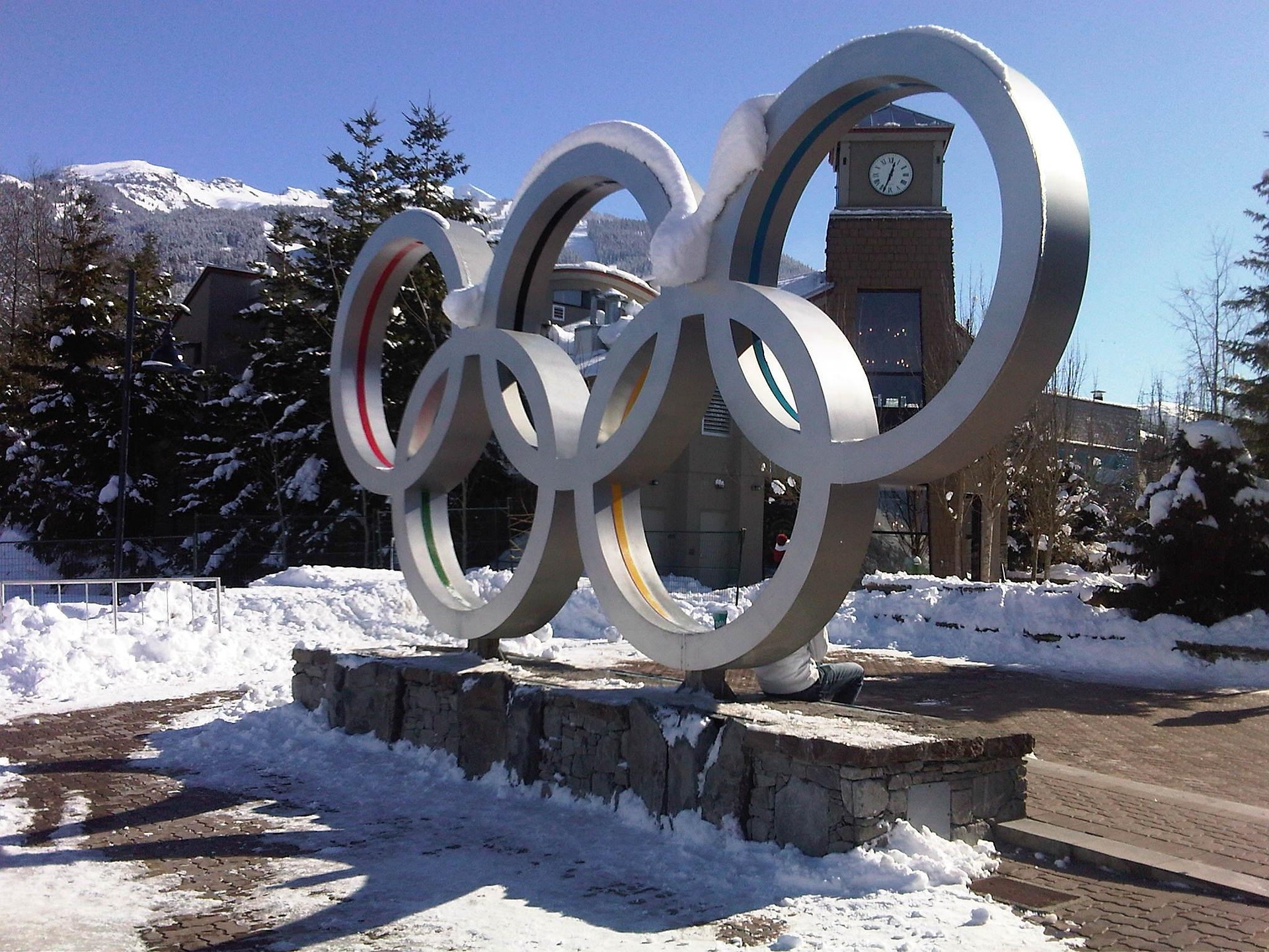 La foresta che cresce e l'albero che cade. Storia di un'olimpiade tra gloria e odio social