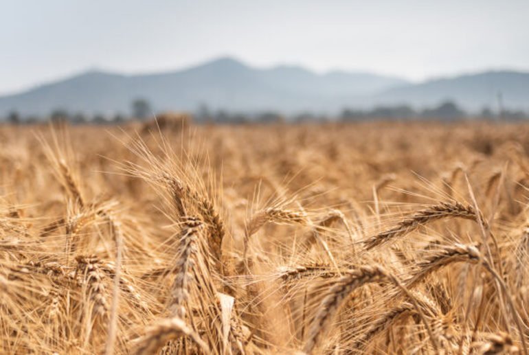 Mercosur, qualche luce e molte ombre