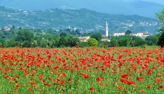 Lettera: a Colceresa (Vicenza) un fabbricone minaccia la nostra acqua e l'ambiente