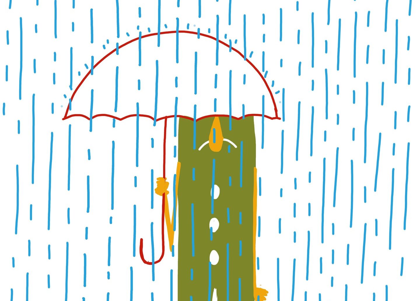 Previsioni meteo