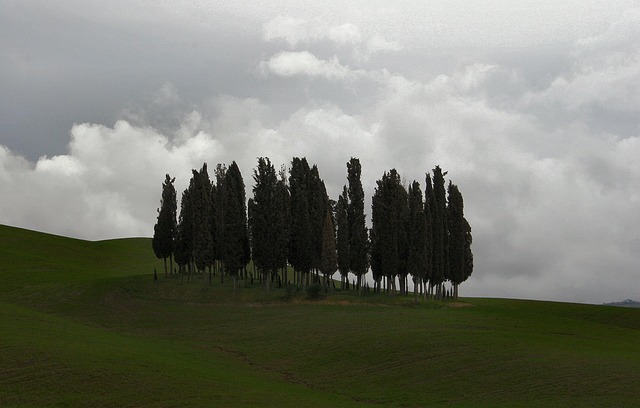 in difesa del paesaggio