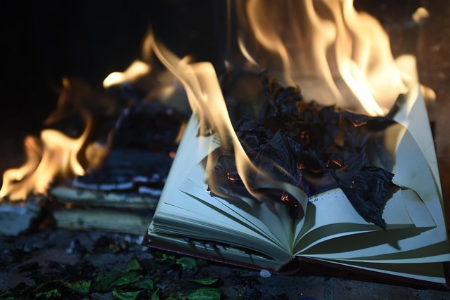 il rogo e la biblioteca