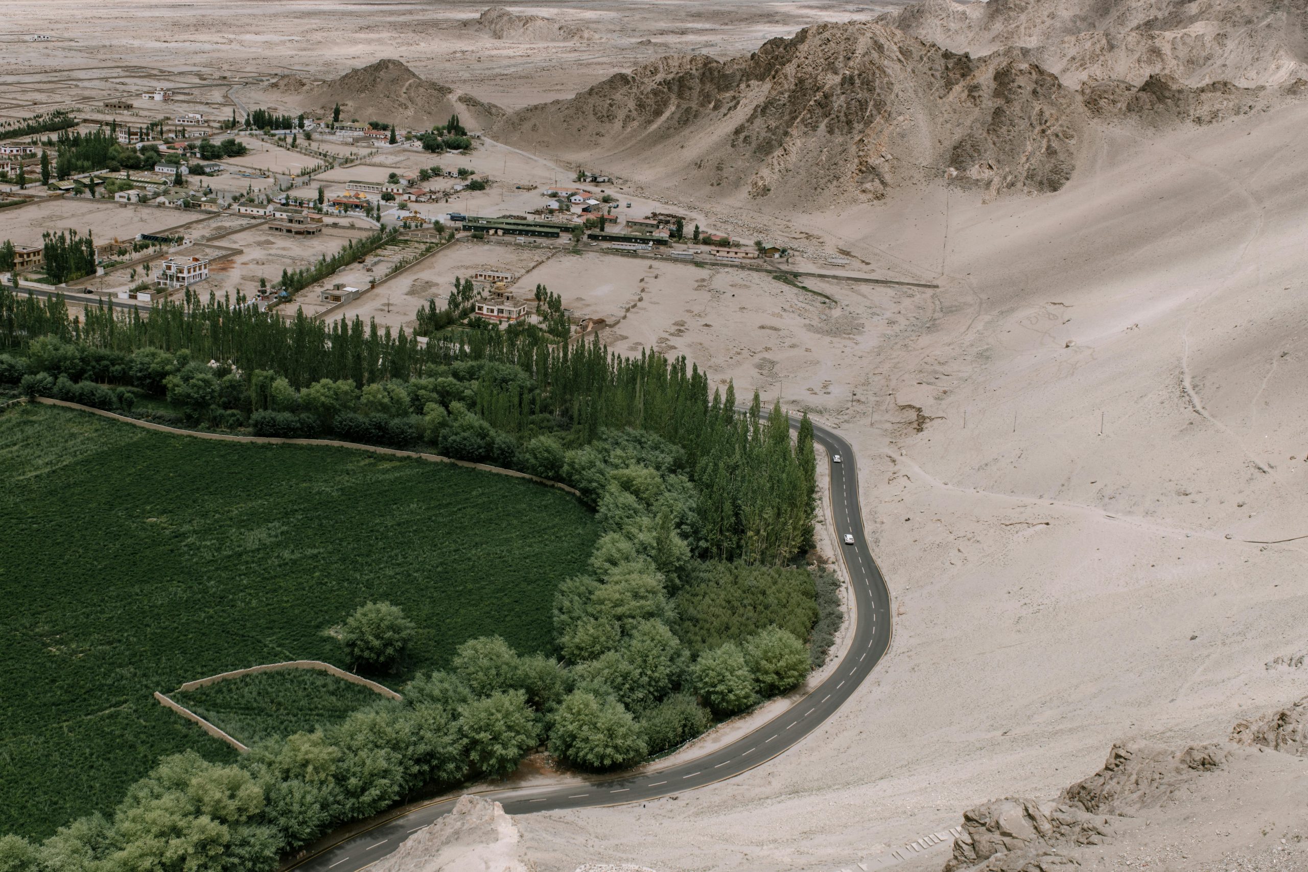 Cina: la "Grande Muraglia Verde" che sta fermando il deserto