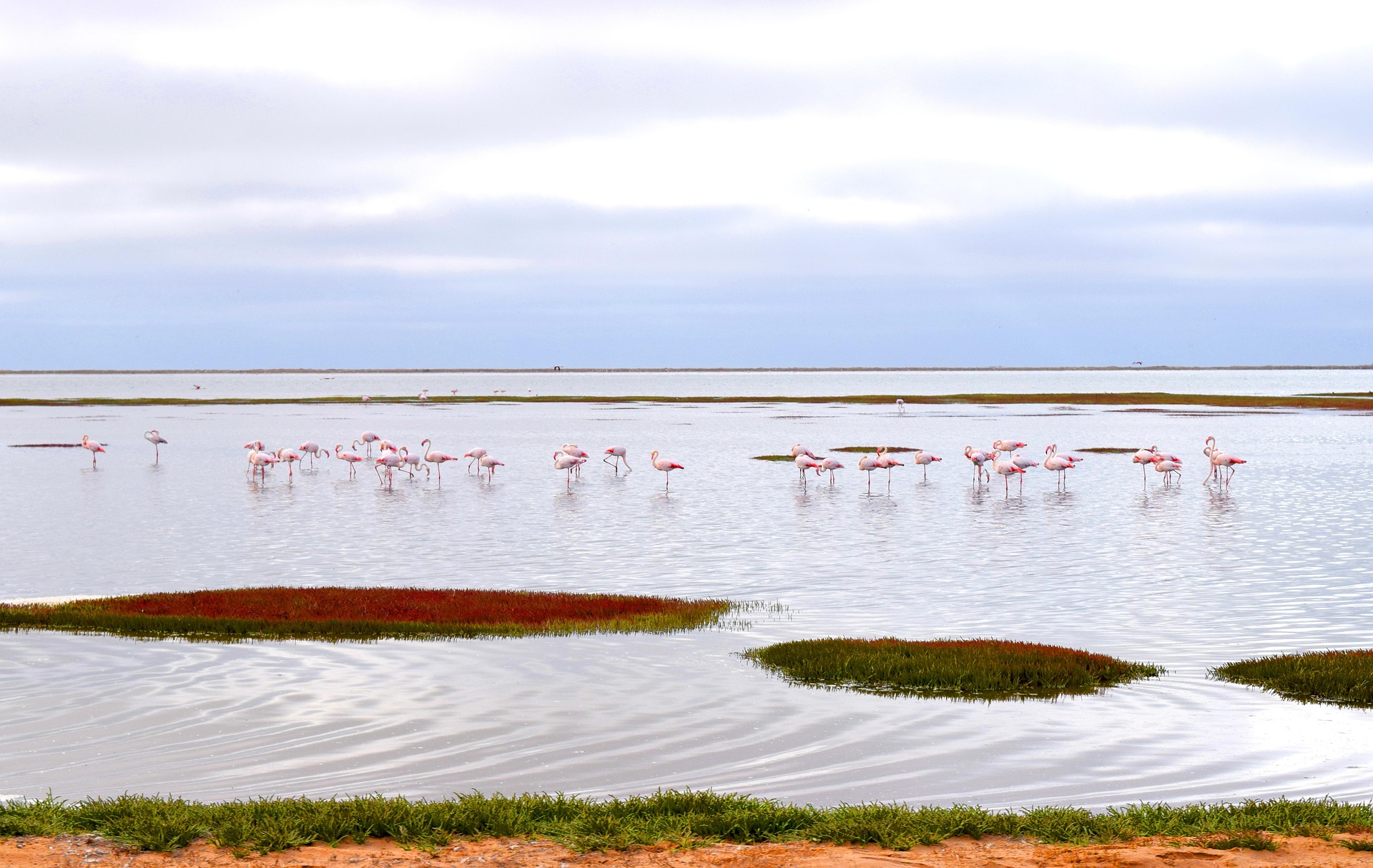 Una striscia di schiuma rosa Un ricordo