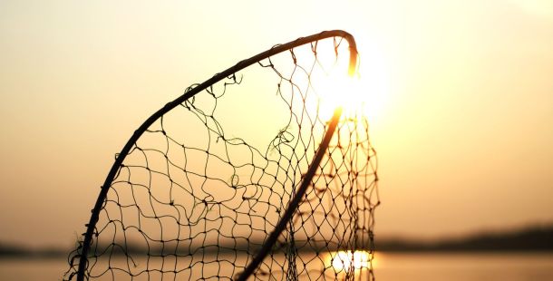 presto di mattina dignità infinita