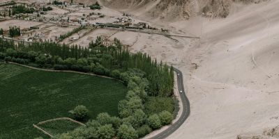 Cina: la "Grande Muraglia Verde" che sta fermando il deserto