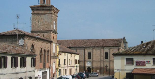 sagra-anitra-stellata