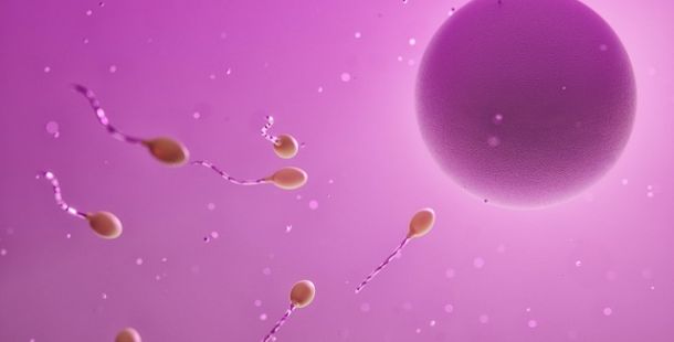 Social Freezing e lo chiamano Giustizia Sociale