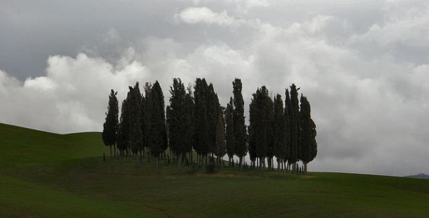 in difesa del paesaggio