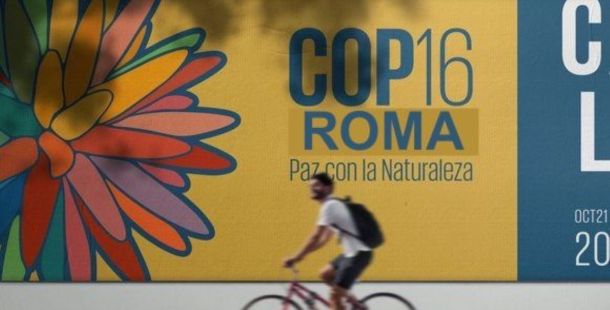 I SUPPLEMENTARI DELLA COP16 SULLA BIODIVERSITA’ e LA GIORNATA MONDIALE DELL’ACQUA