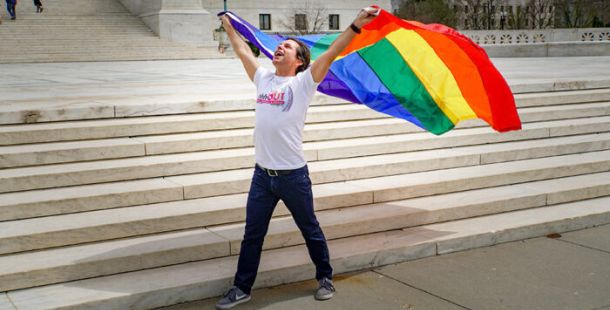 omotransfobia lgbt ddl zan