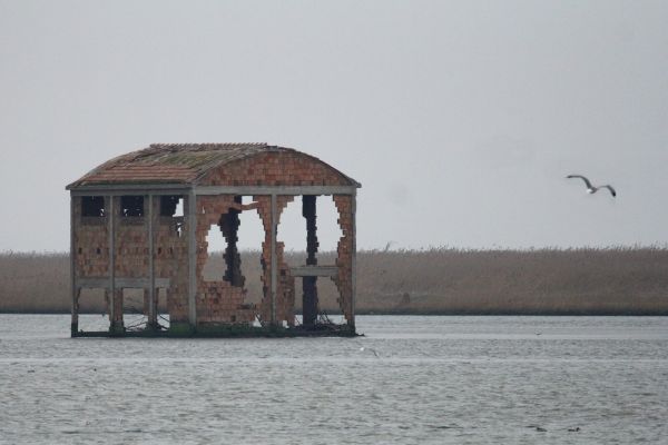 Il mio Delta