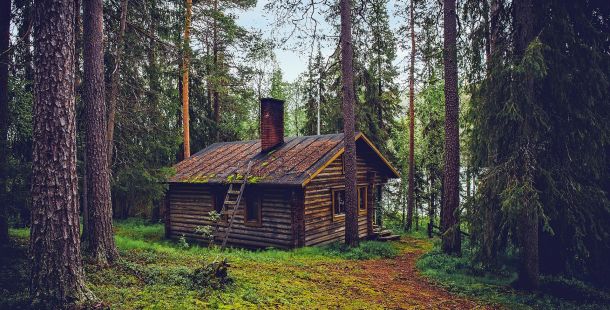 la famiglia nel bosco e il nuovo ordine simbolico